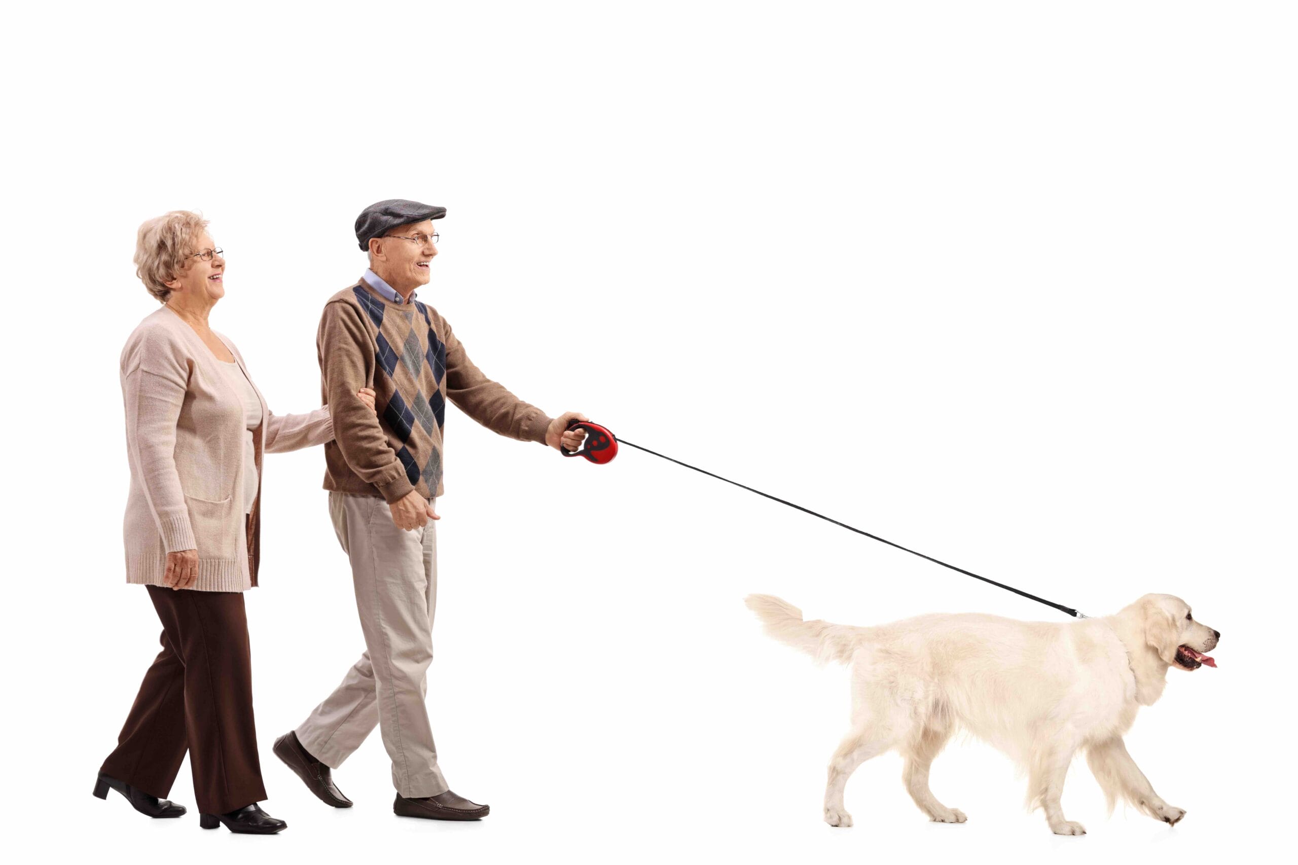 spacer seniorów z psem